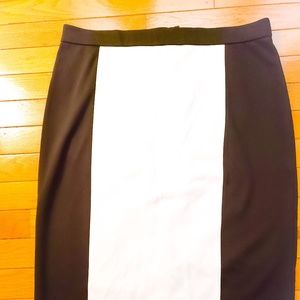 NWT Ann Taylor Skirt